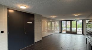 House Image 3