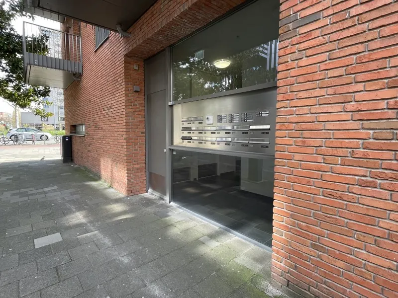 House Image 3