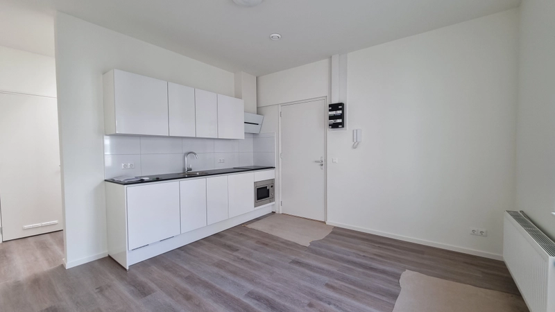 House Image 4