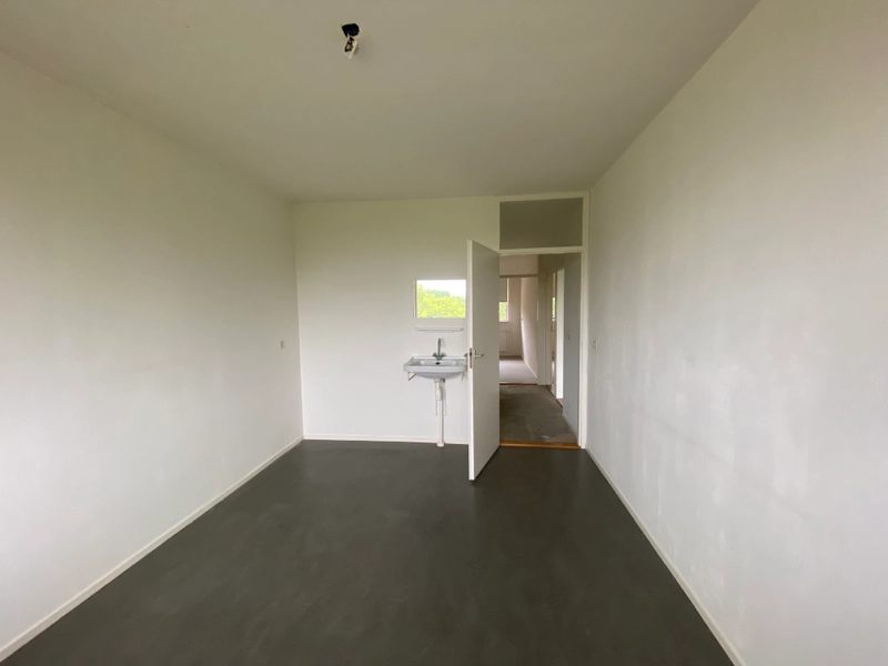 House Image 4
