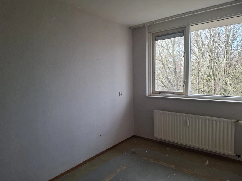 House Image 4