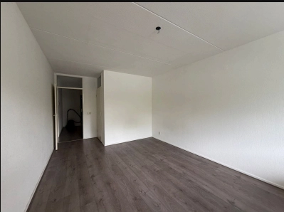 House Image 2
