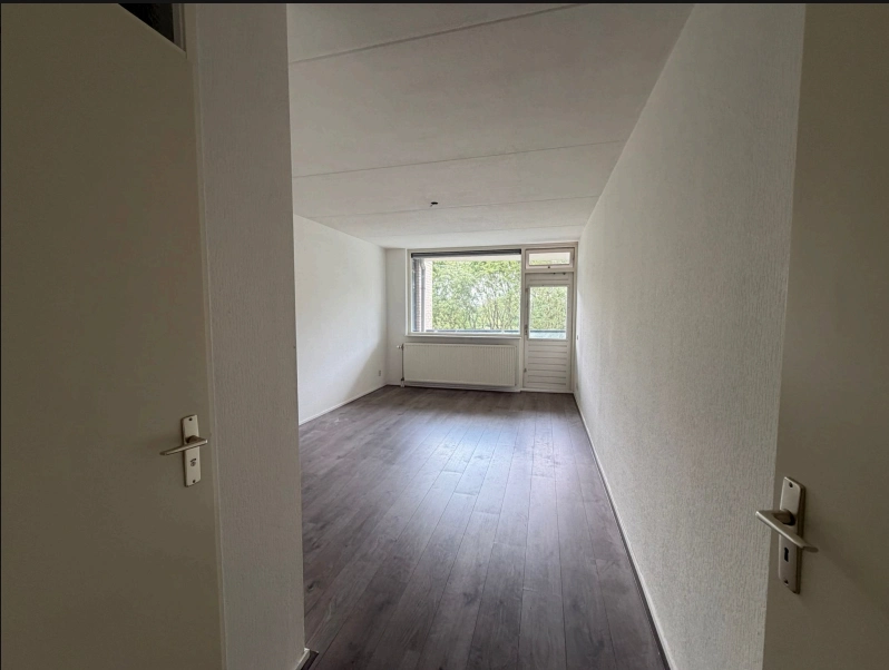 House Image 3