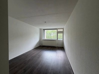 House Image 4