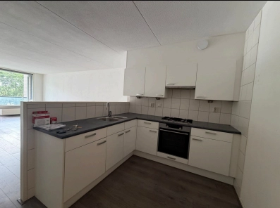 House Image 5