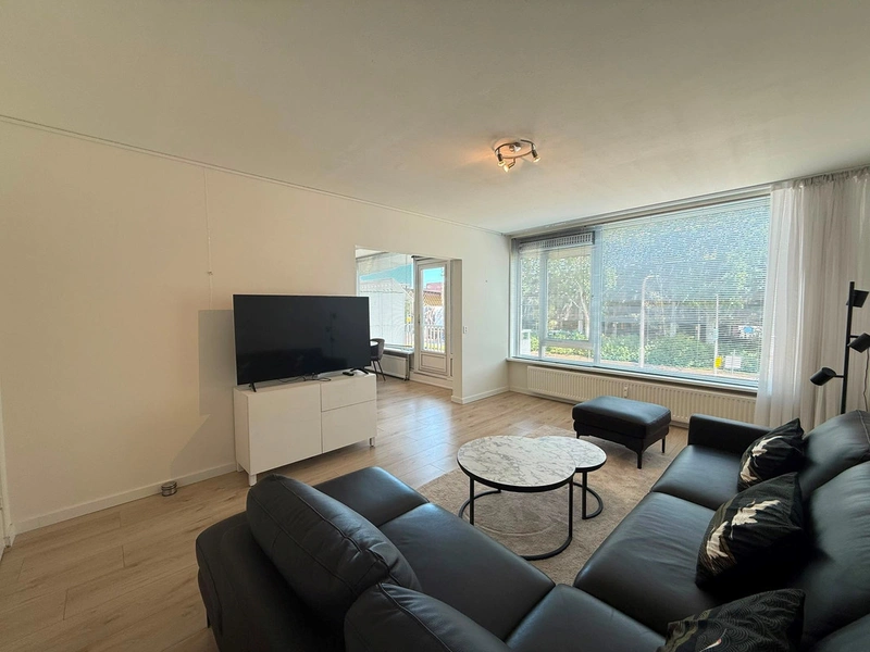 House Image 3