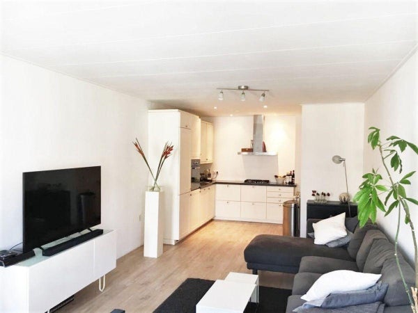 House Image 3