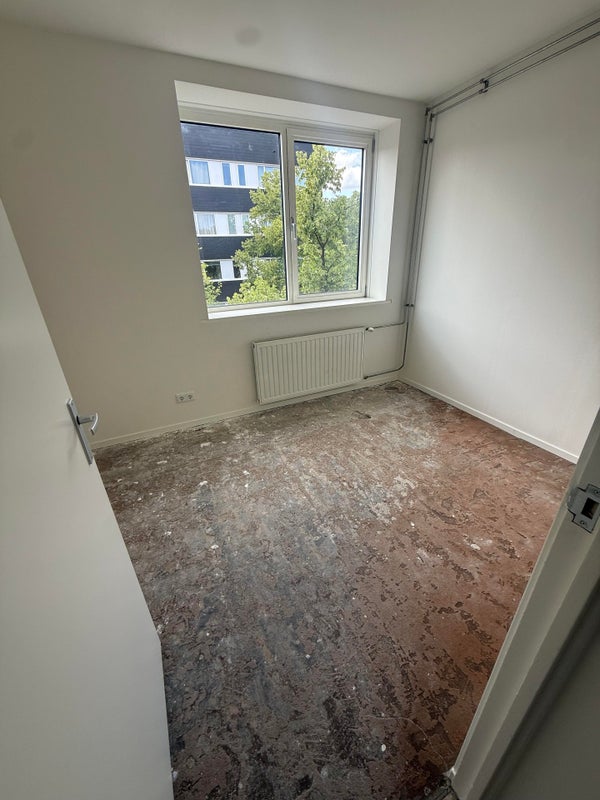 House Image 3