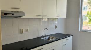 House Image 5