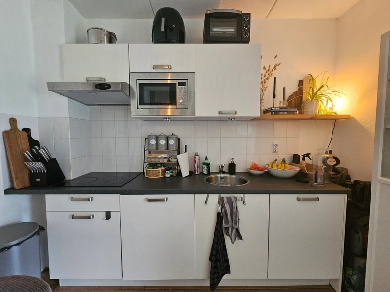House Image 4