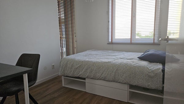 House Image 4