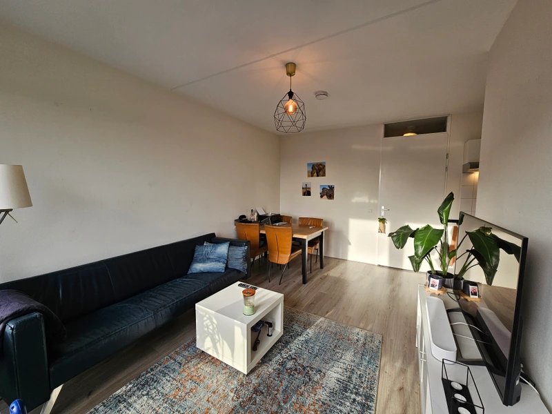 House Image 3
