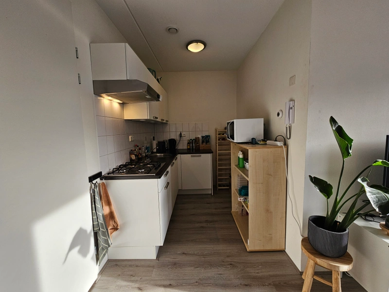 House Image 4