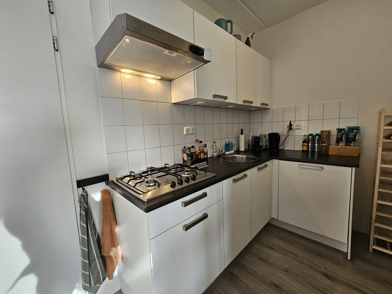 House Image 5
