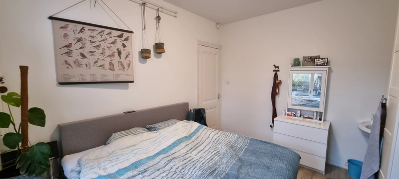 House Image 5