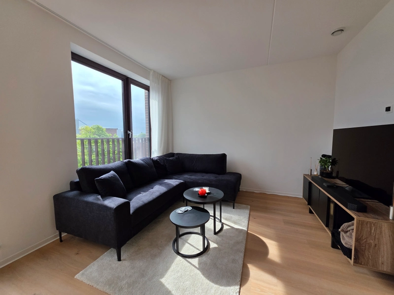 House Image 4