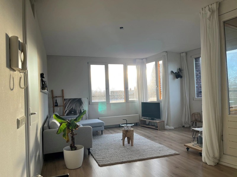 House Image 3