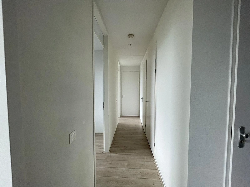 House Image 5