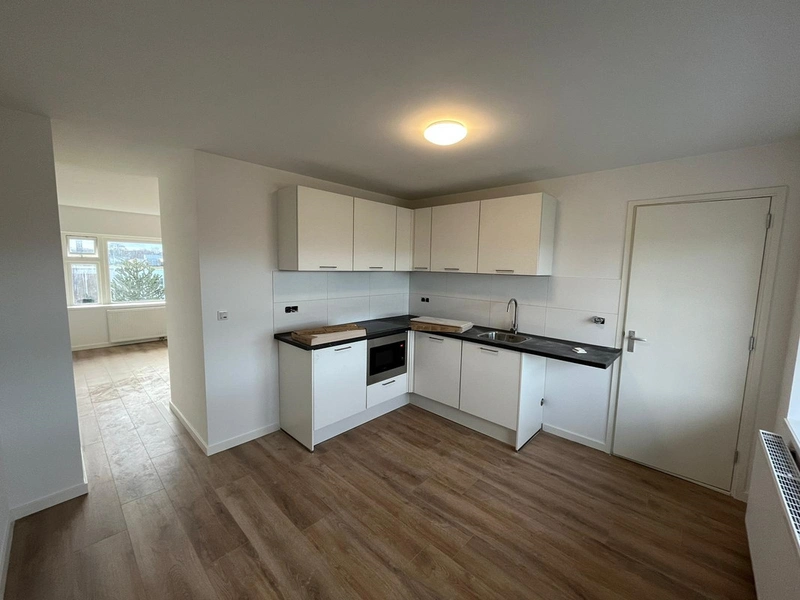 House Image 3