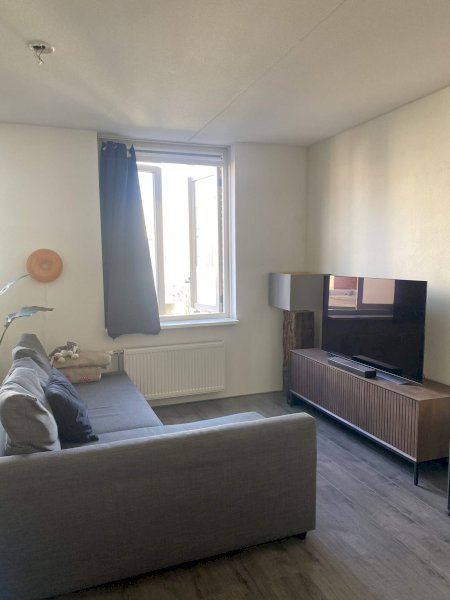 recent house