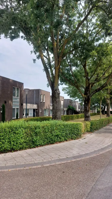 House Image 4