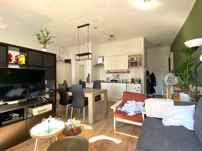 House Image 3
