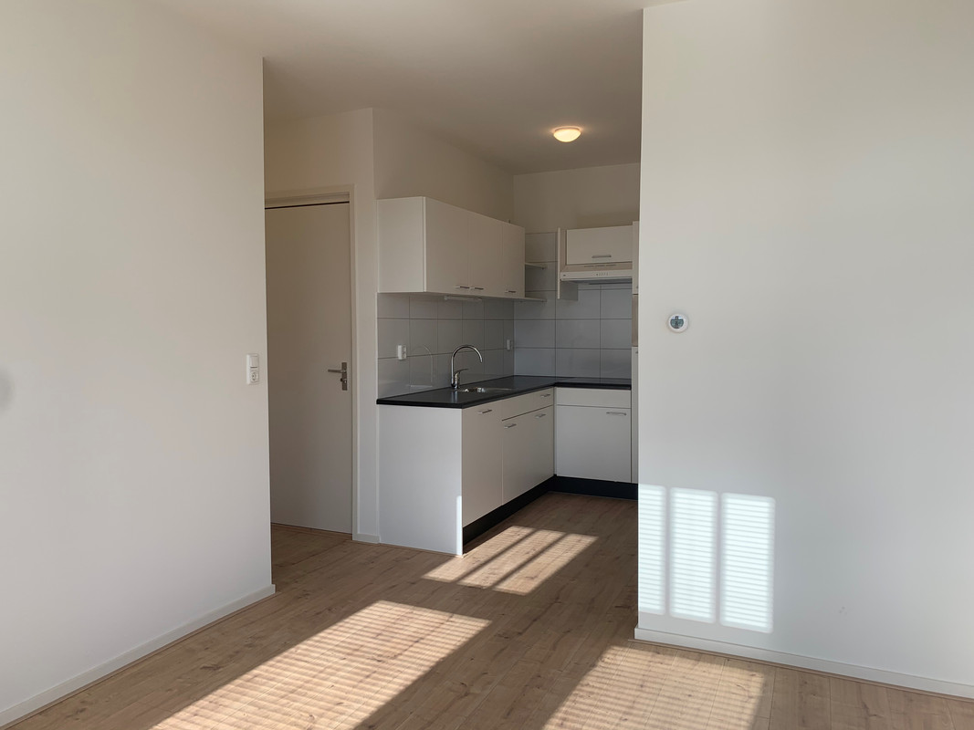 House Image 5