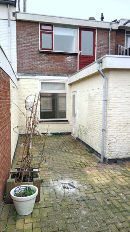 House Exterior
