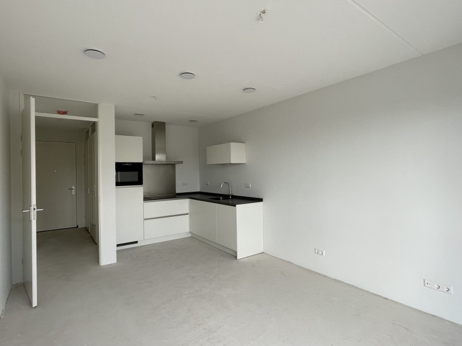 House Image 4