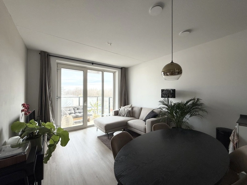 House Image 4