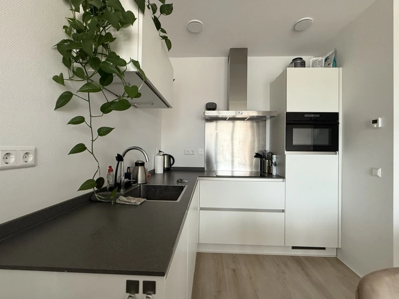 House Image 5