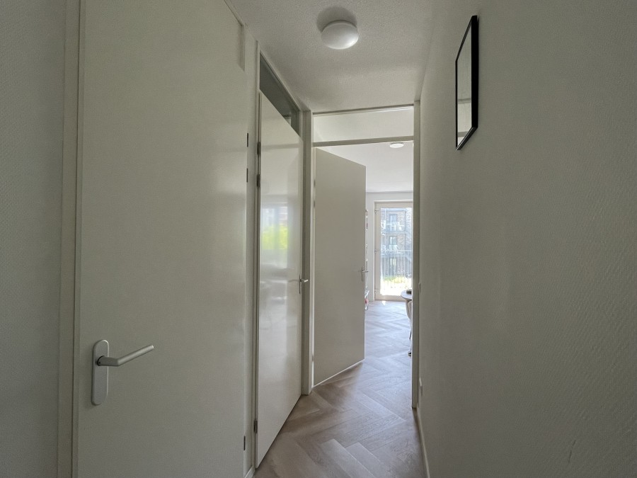 House Image 4