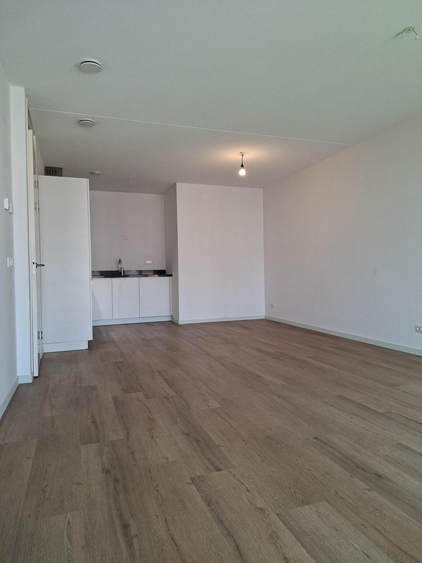 House Image 5