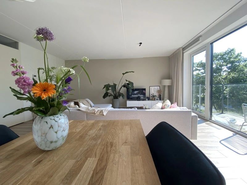 House Image 4