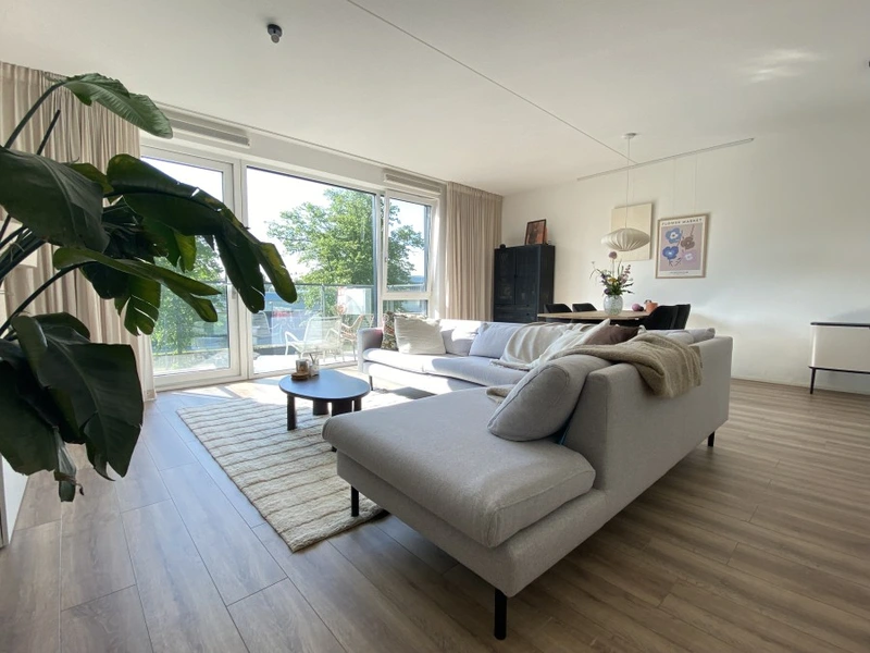 House Image 5