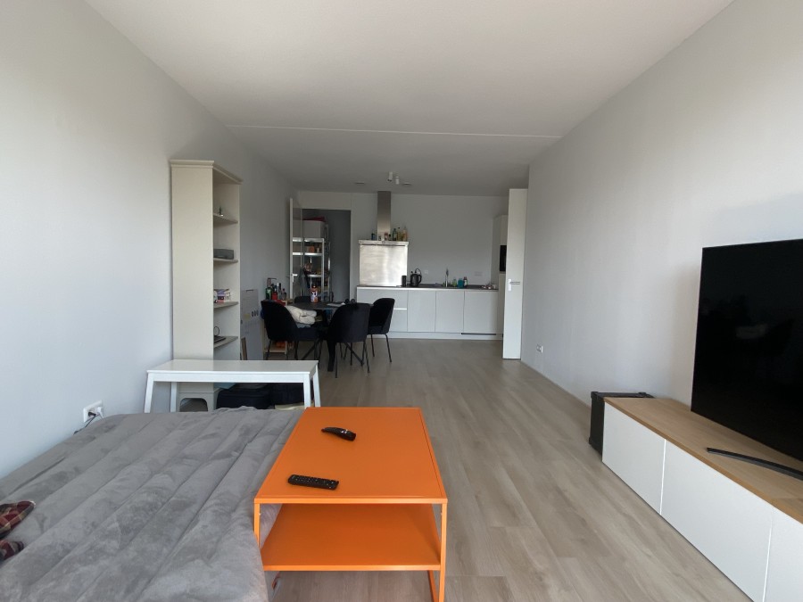 House Image 3