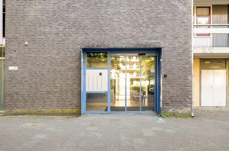 House Image 3