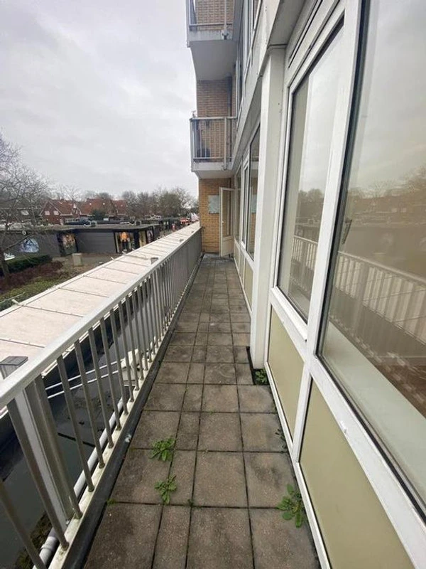 House Image 4