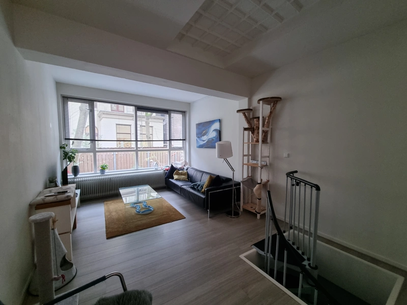 House Image 4