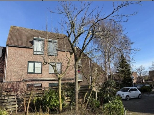 House Exterior