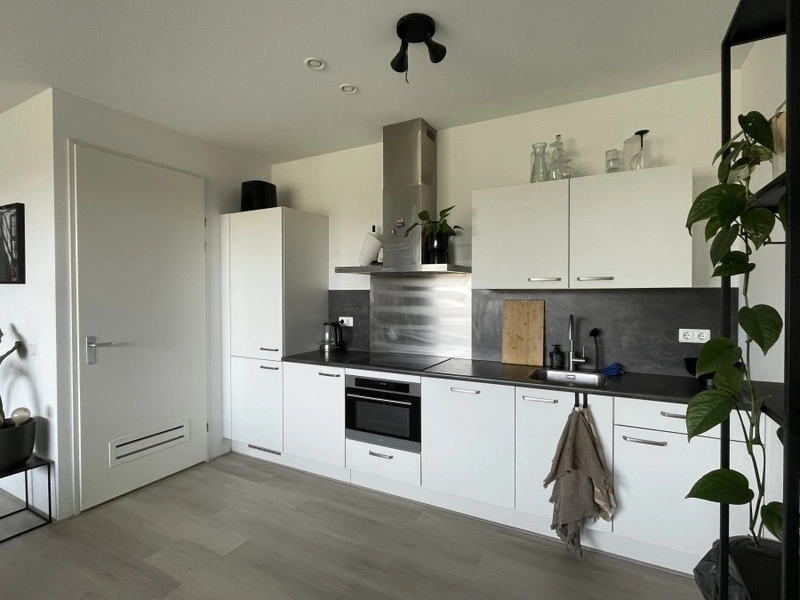 House Image 5