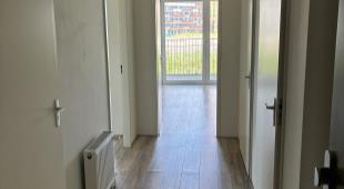 House Image 5