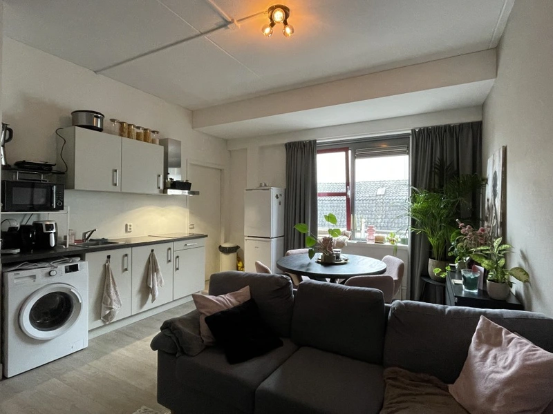 House Image 2