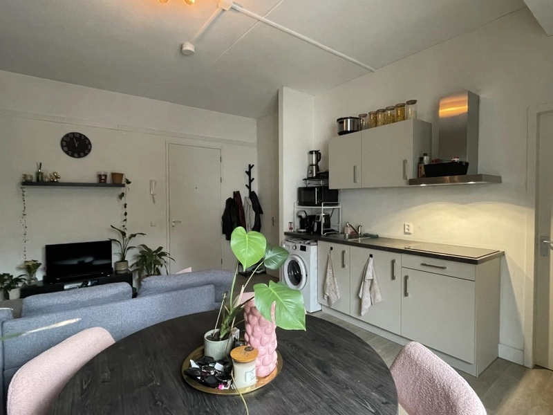 House Image 3