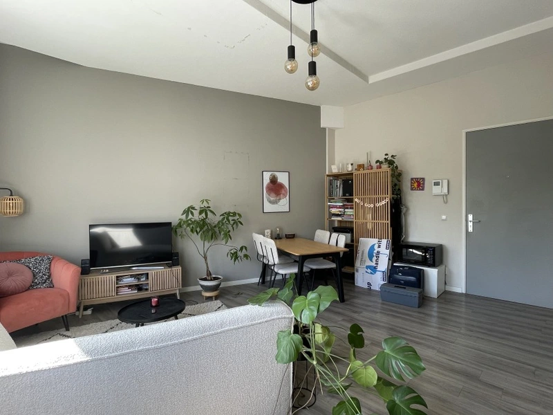 House Image 3