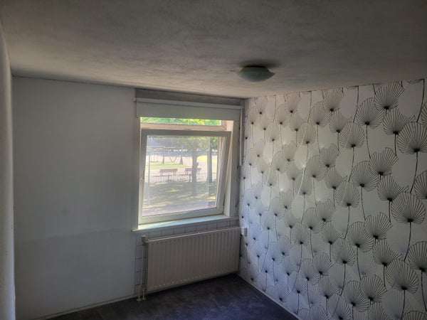 House Image 5