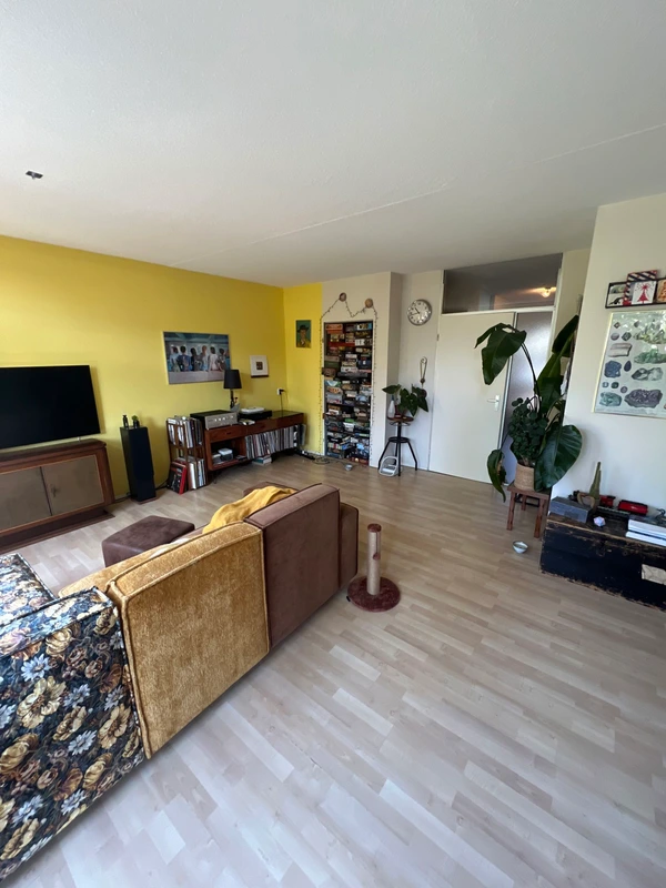 House Image 4