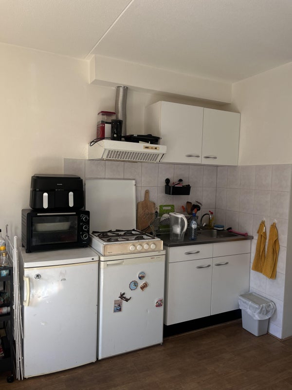 House Image 3