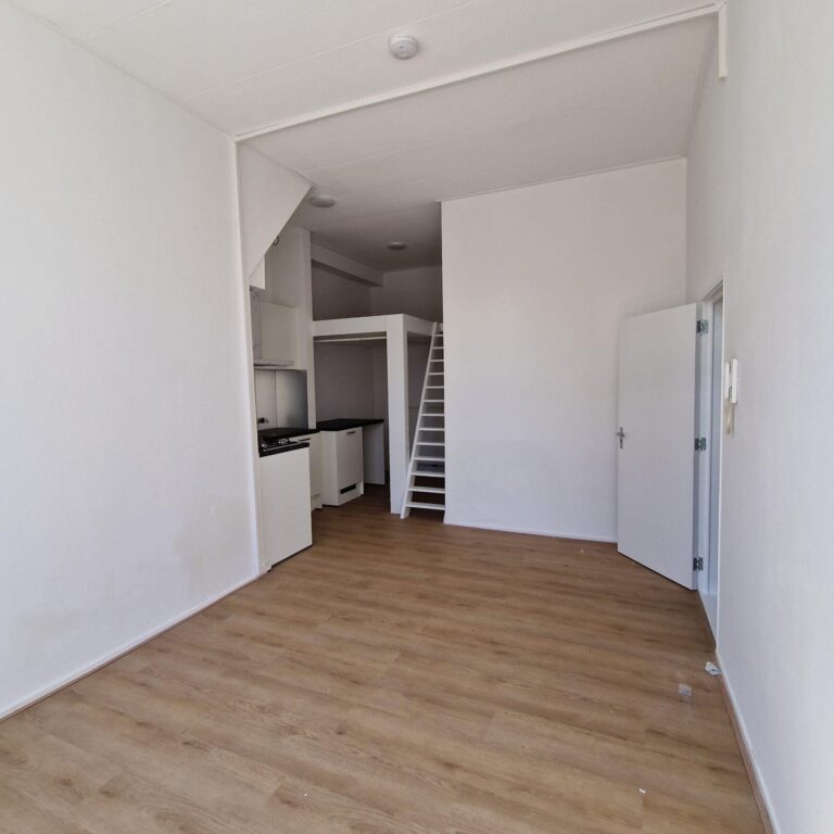 House Image 5
