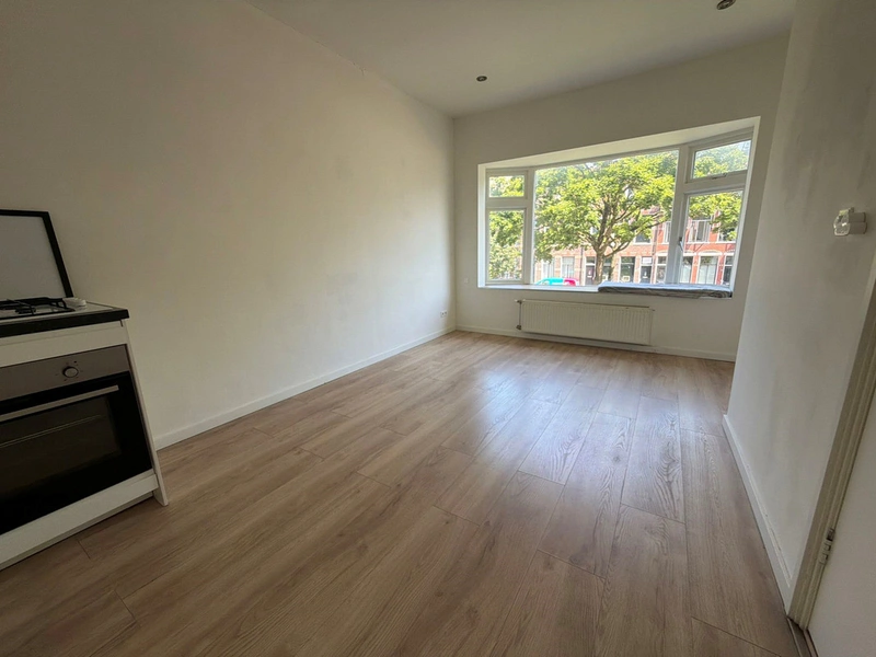 House Image 5